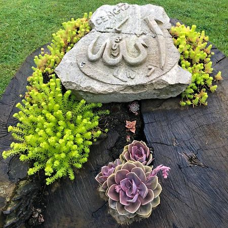 Happyhobbit Forest, Lake View, Fireplace , Jakuzi ,In Sapanca Exterior foto