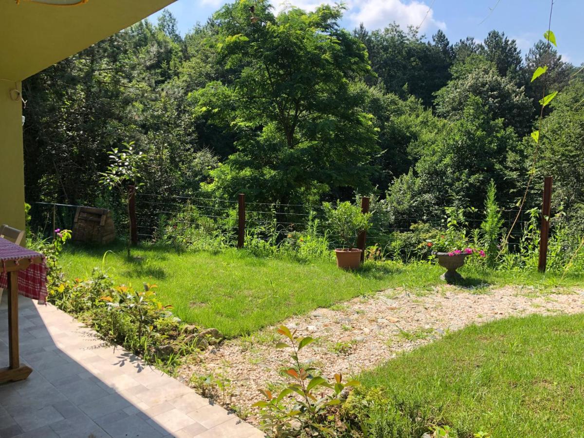 Happyhobbit Forest, Lake View, Fireplace , Jakuzi ,In Sapanca Exterior foto